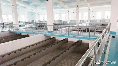 長(zhǎng)春神環(huán)科技有限責(zé)任公司 構(gòu)建環(huán)保產(chǎn)業(yè)共生成長(zhǎng)新生態(tài)