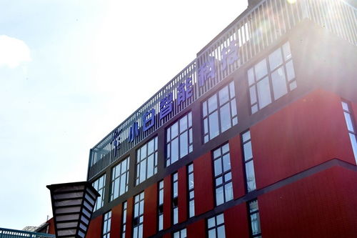 小白人餐桌智媒體 機(jī)器人項目落戶長春新區(qū)