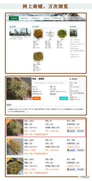 藥通網(wǎng)廣告業(yè)務(wù)全面介紹